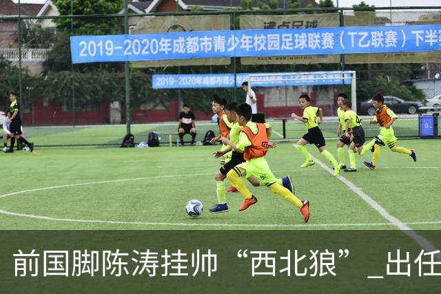 前国脚陈涛挂帅“西北狼” 出任陕西联合一线队主教练